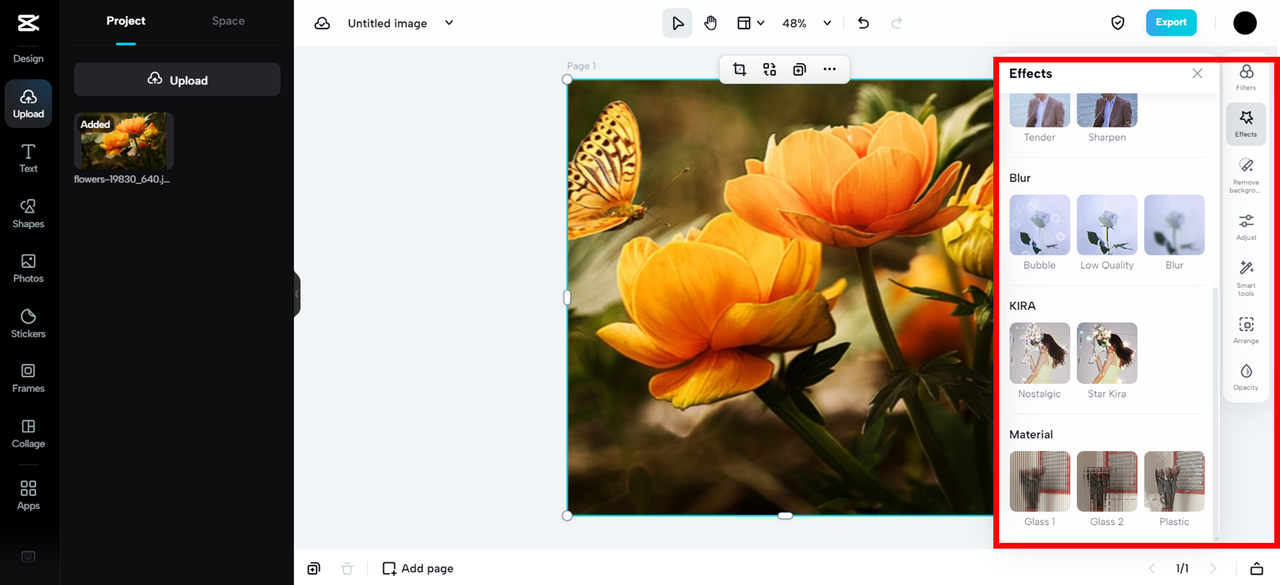 Use image upscaler to enhance your image quality