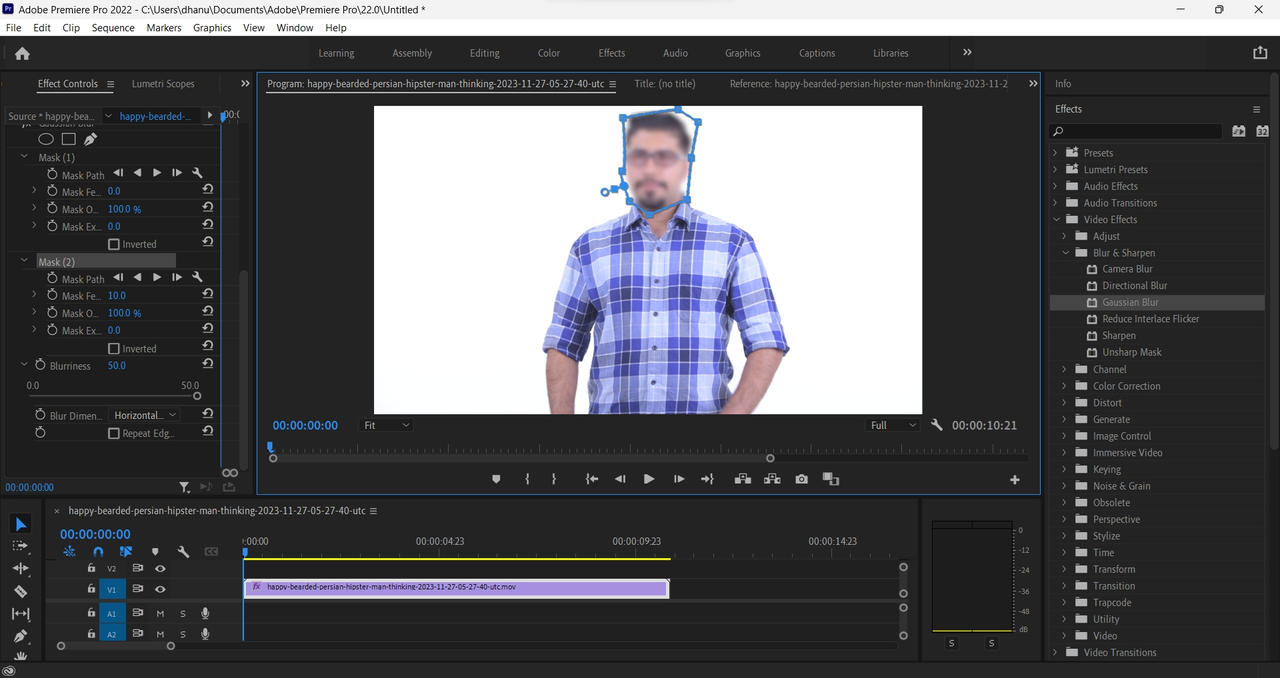 Adobe Premiere Pro