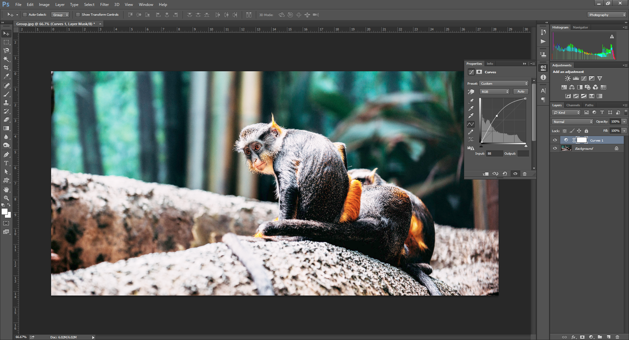 Use curves to adjust brightness via PhotoShop