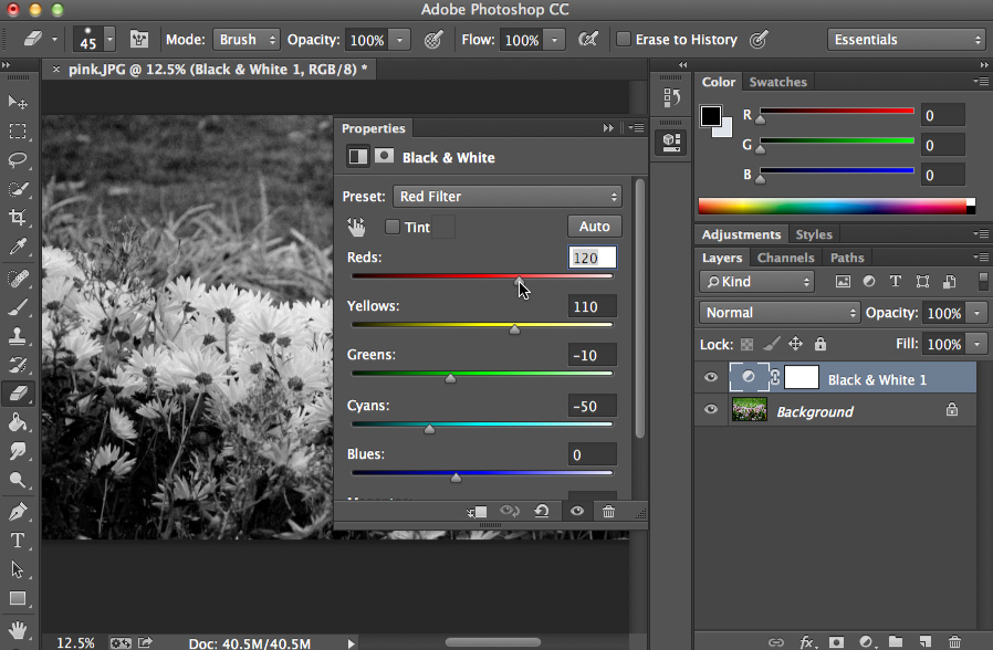 Black and white filling feature in PhotoShop