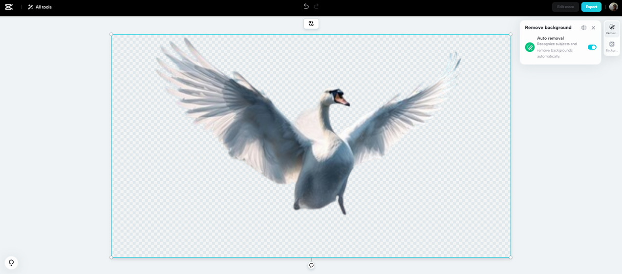 Convert a picture to transparent background with CapCut cutout