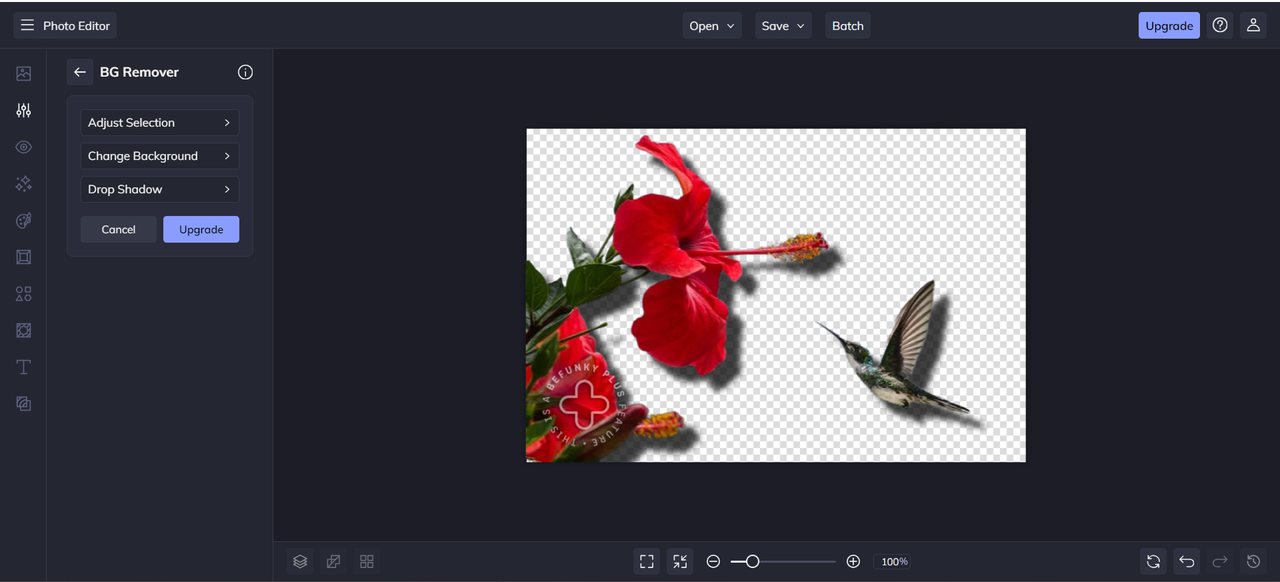 BeFunky background remover