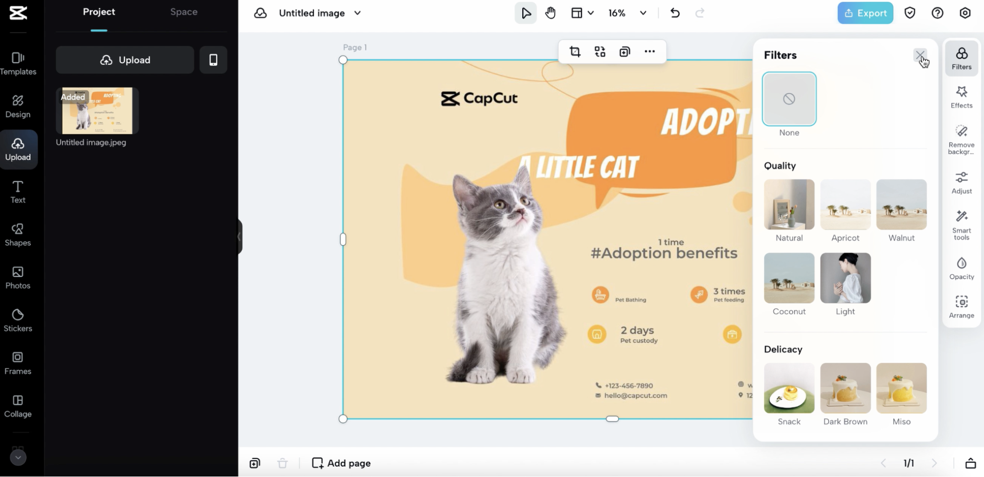 Unleash your inner editor with CapCut