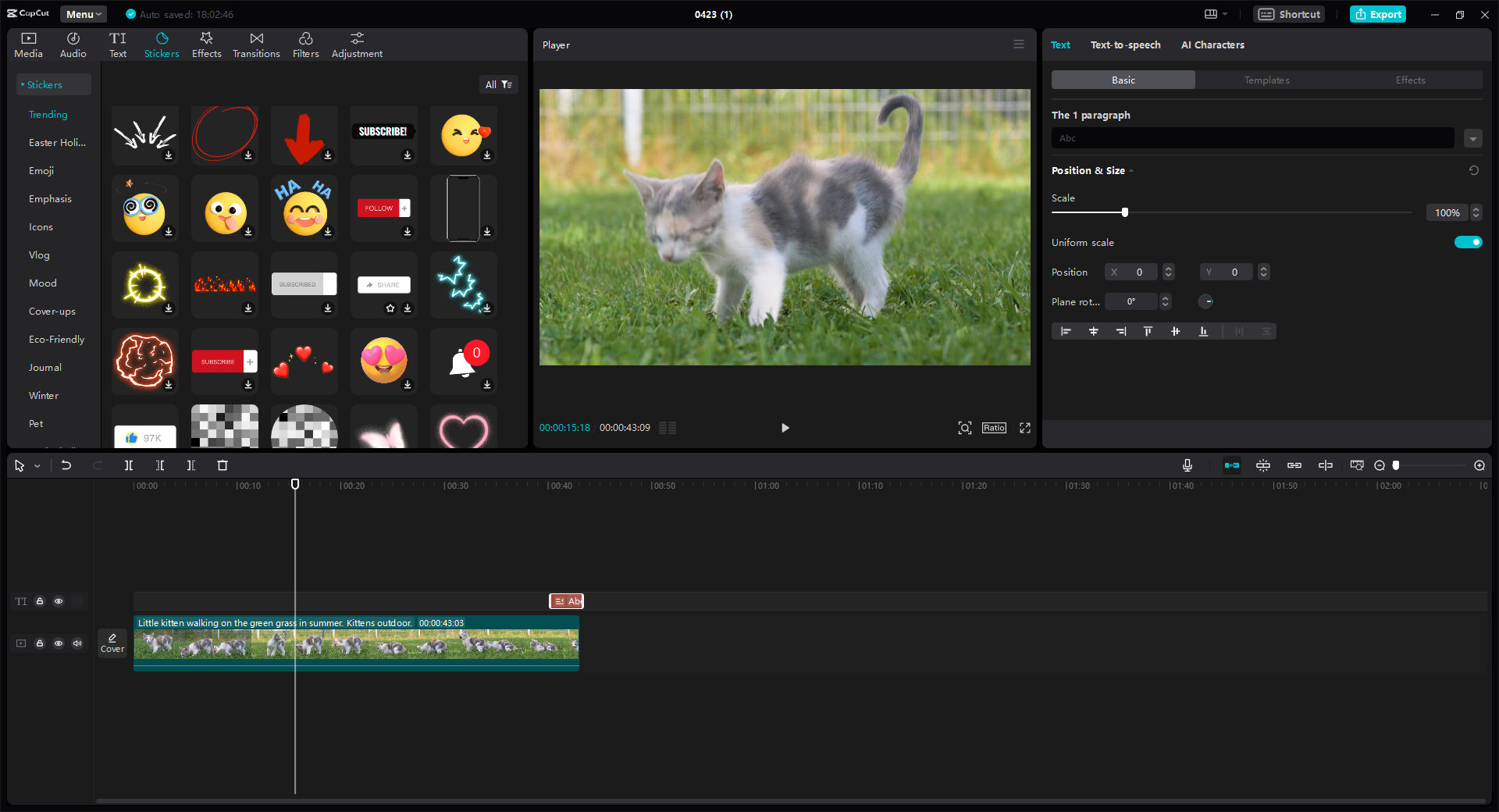 CapCut video editor