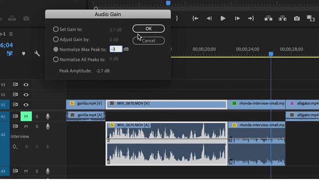  set audio level in dB on Adobe Premiere audio gain menu