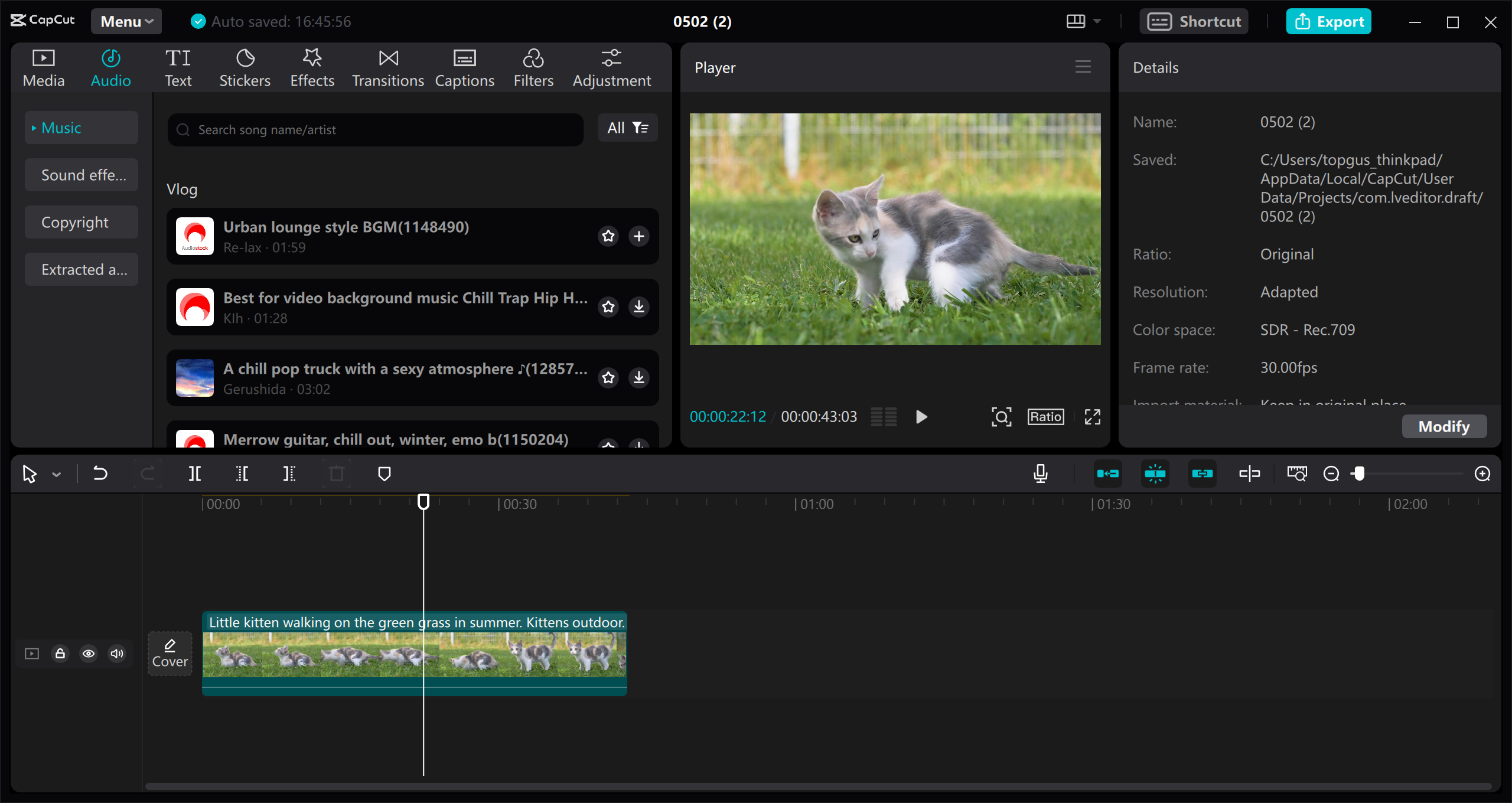 CapCut video editor