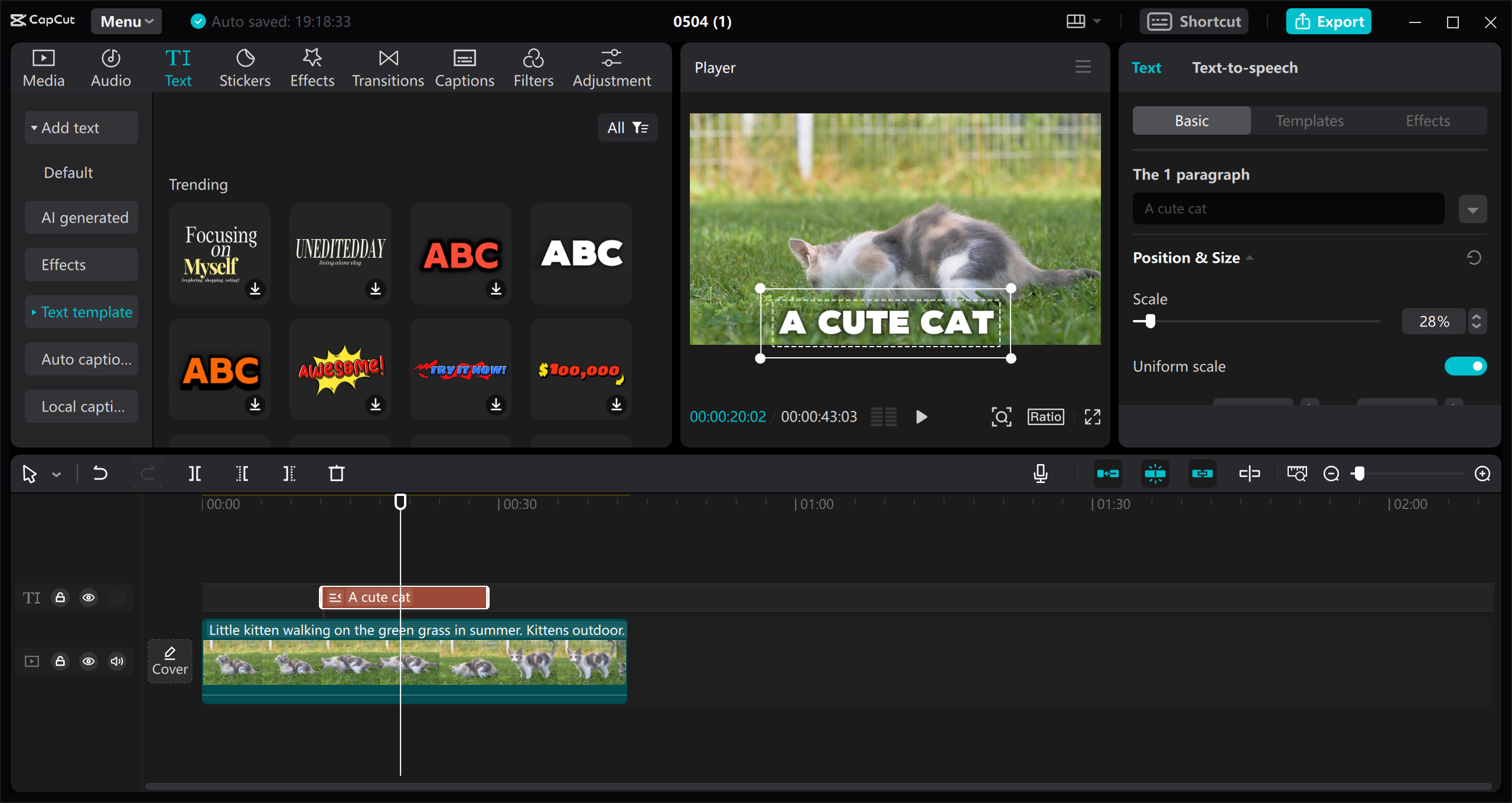 CapCut video editor