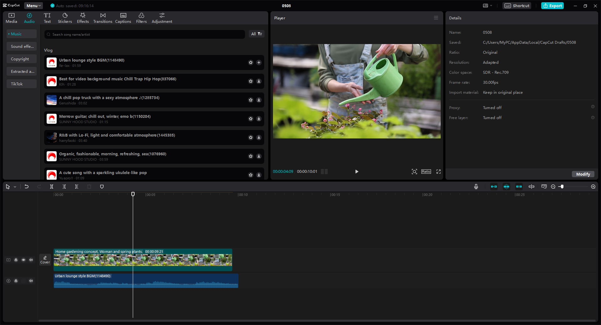 CapCut video editor