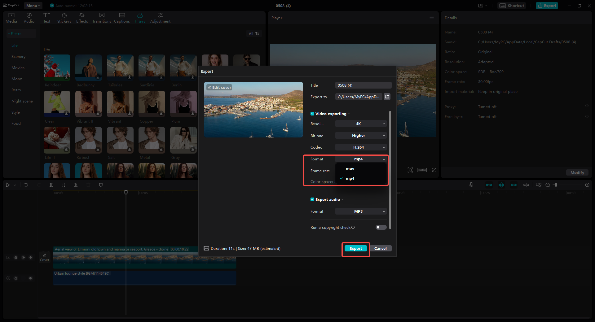 Convert and export the video