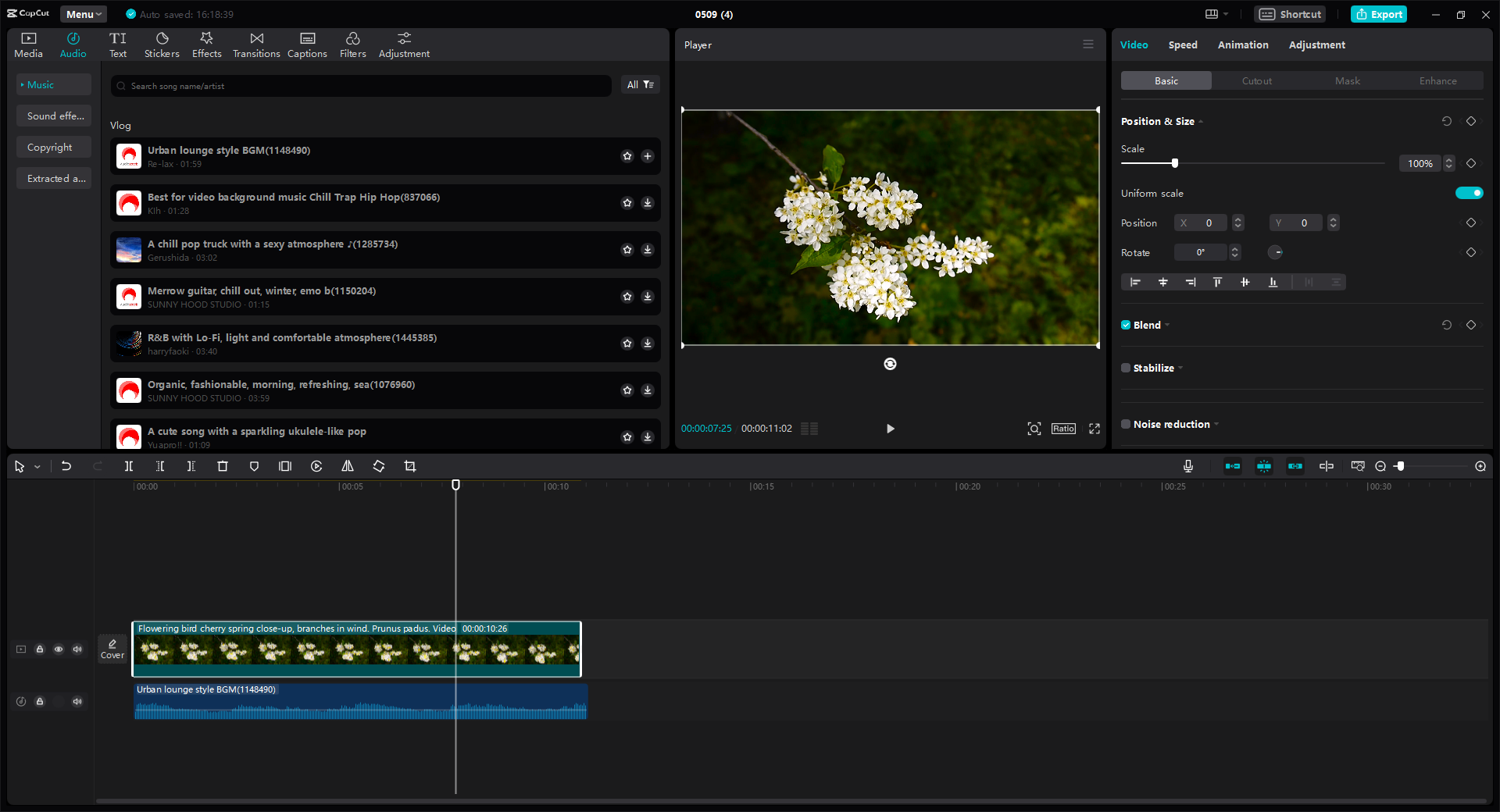 CapCut video editor