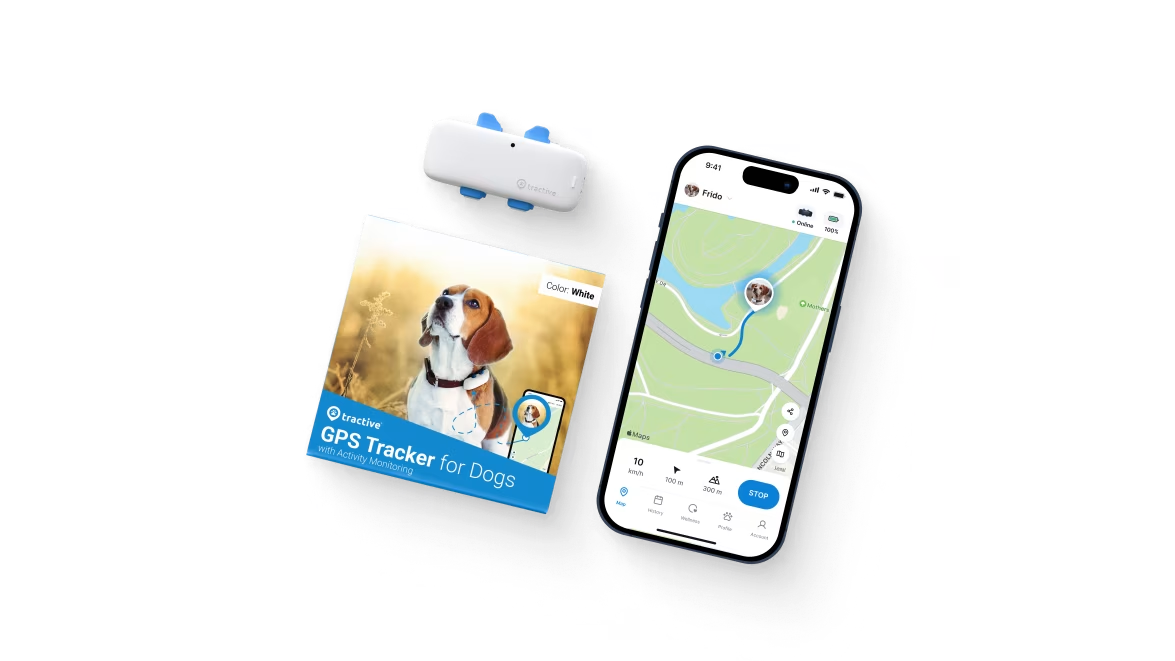 Tractive - Dog Collar Video