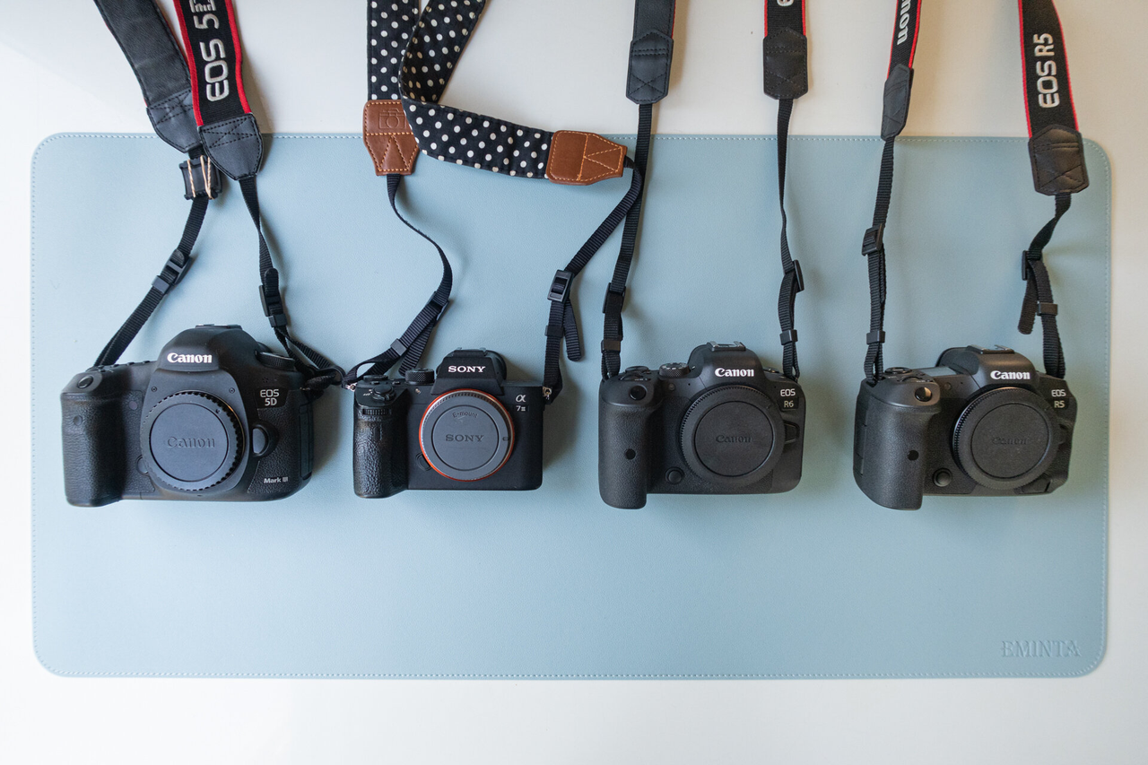 The best dynamic range DSLR cameras