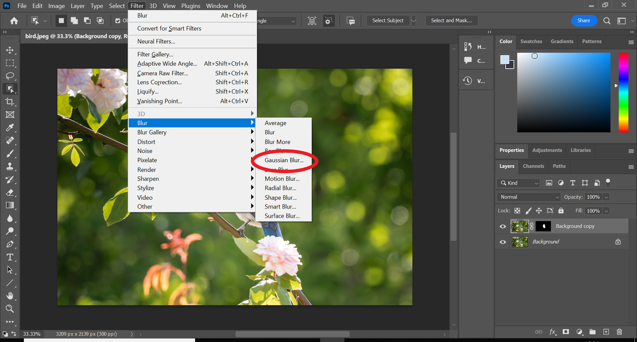 Interface of Photoshop showing how to add blur to a photo using Gaussian blur tool 