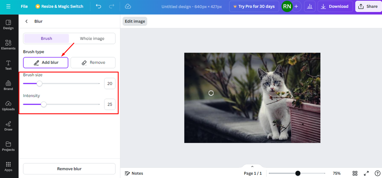 Interface of Canva showing how to apply blur effect on a single part of photos