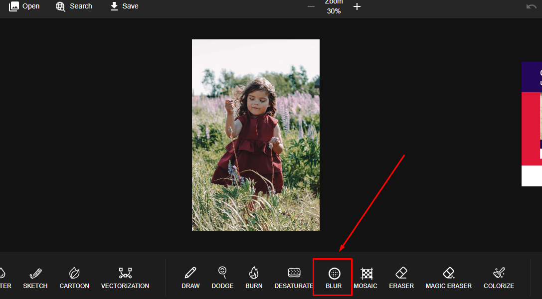 Interface of PhotoKit - an excellent free photo editor with a blur tool