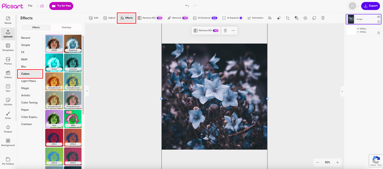 Click on "Effects" then "Colors" to AI recolor photo