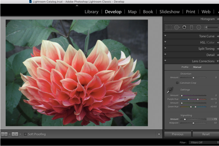 Showing how to make a vignette in Lightroom with lens correction