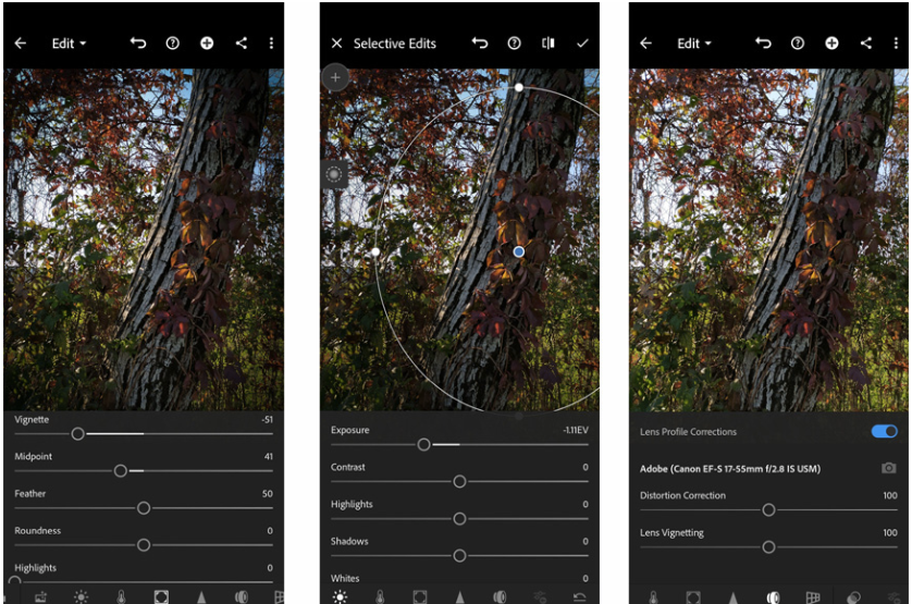 Creating a vignette in Lightroom Classic mobile app