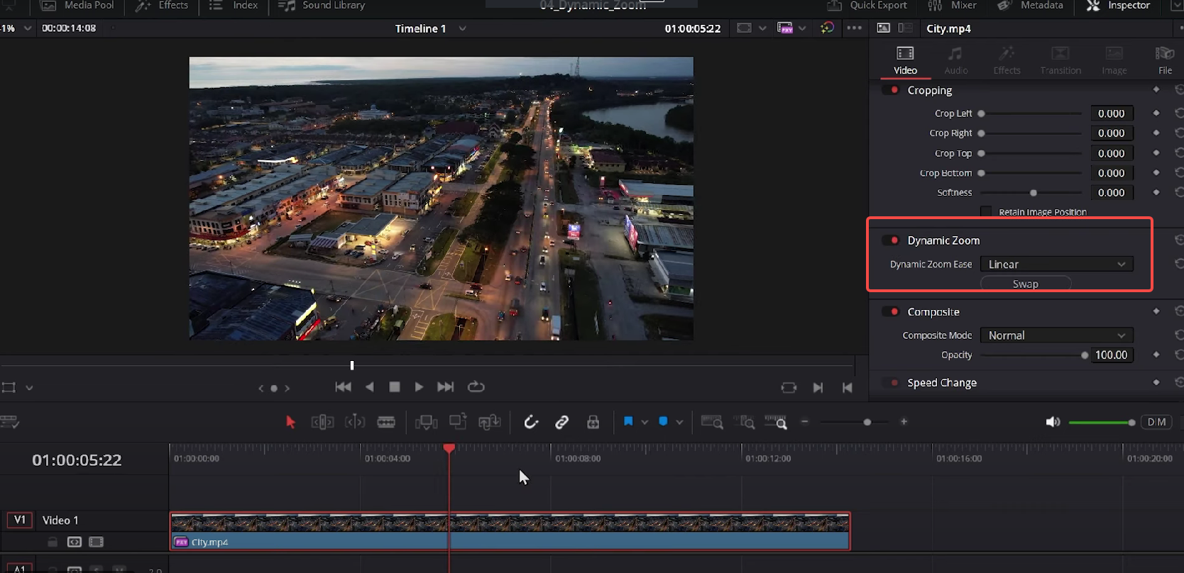Enable Dynamic Zoom