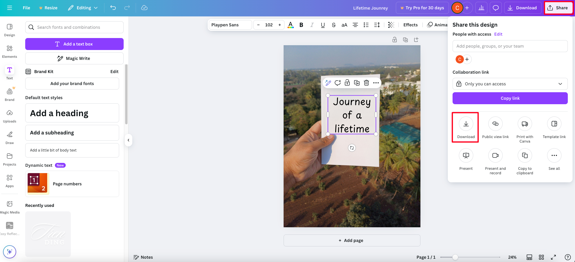 Download in canvas