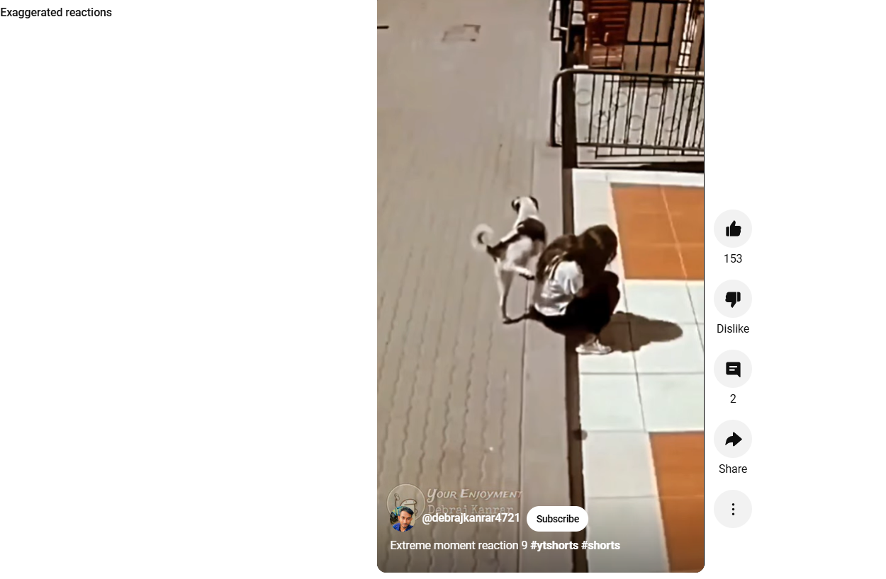 Curtas engraçadas do YouTube de reações exageradas