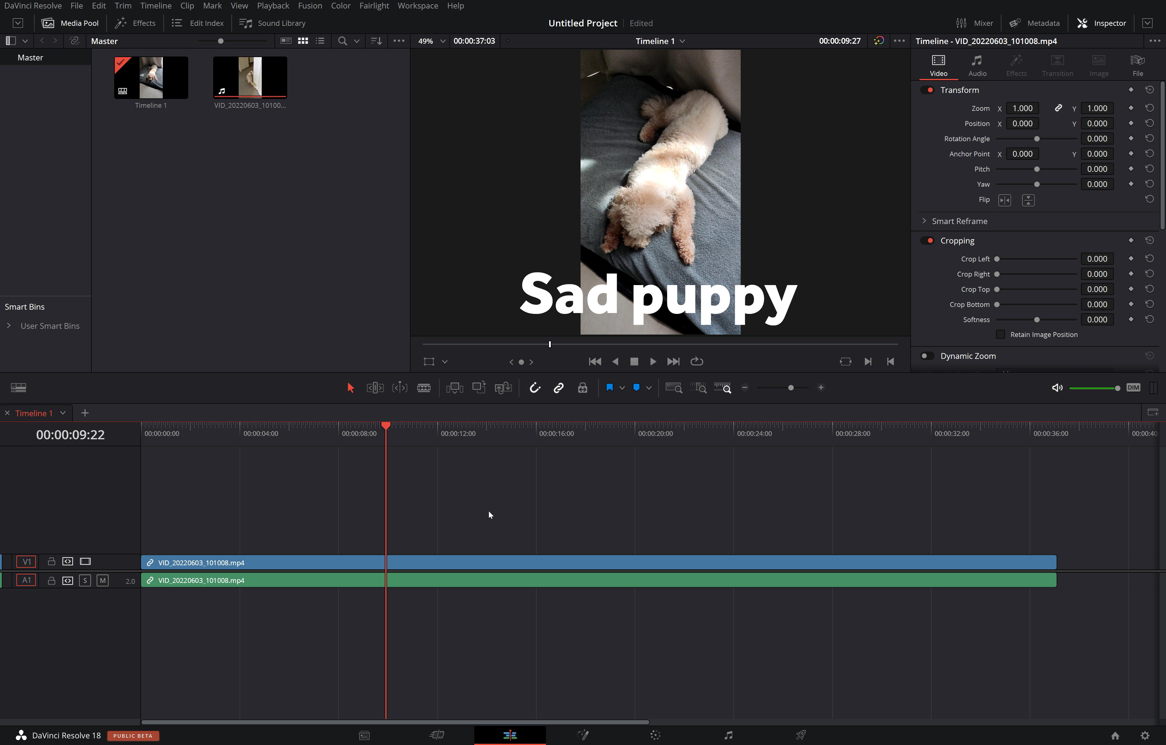 Interface of DaVinci Resolve -  the free Instagram reel maker for engaging content