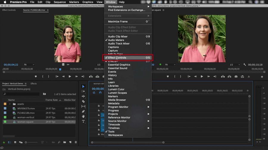 Adobe Premiere Proのインターフェース-最高の無料YouTubeショートメーカー