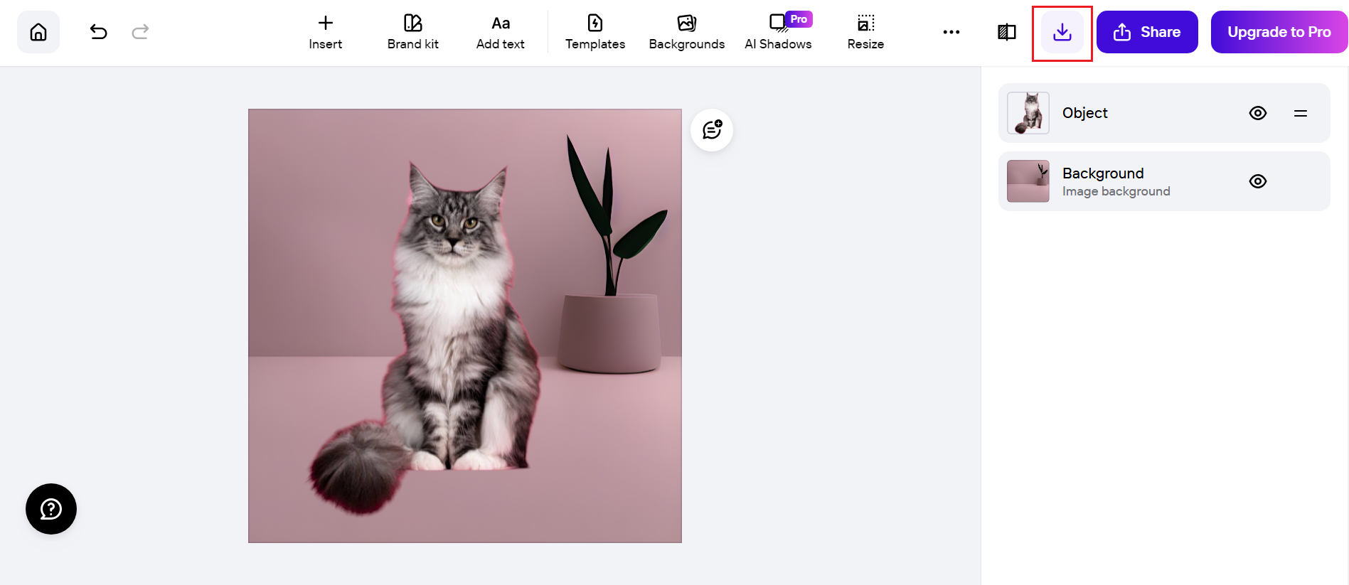 add red background to photo