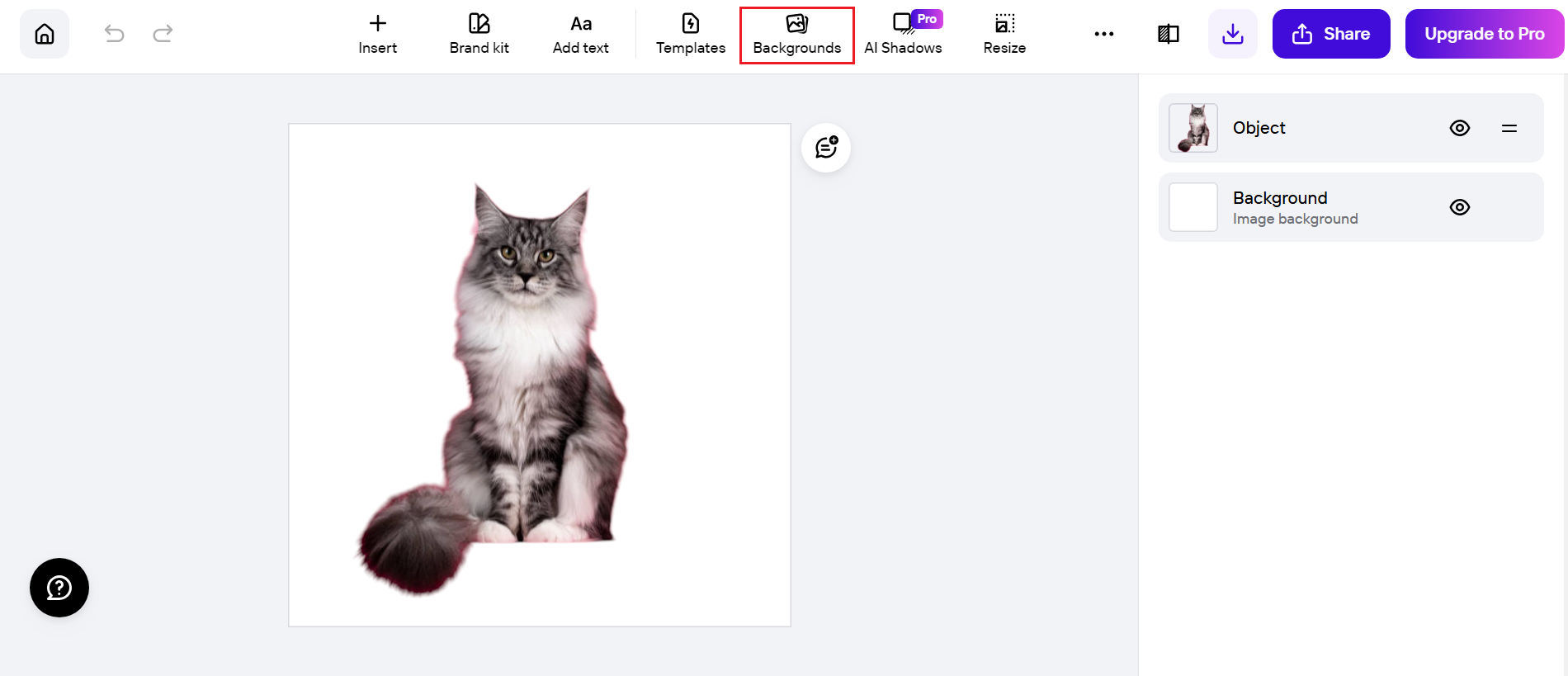 Add background to photo online