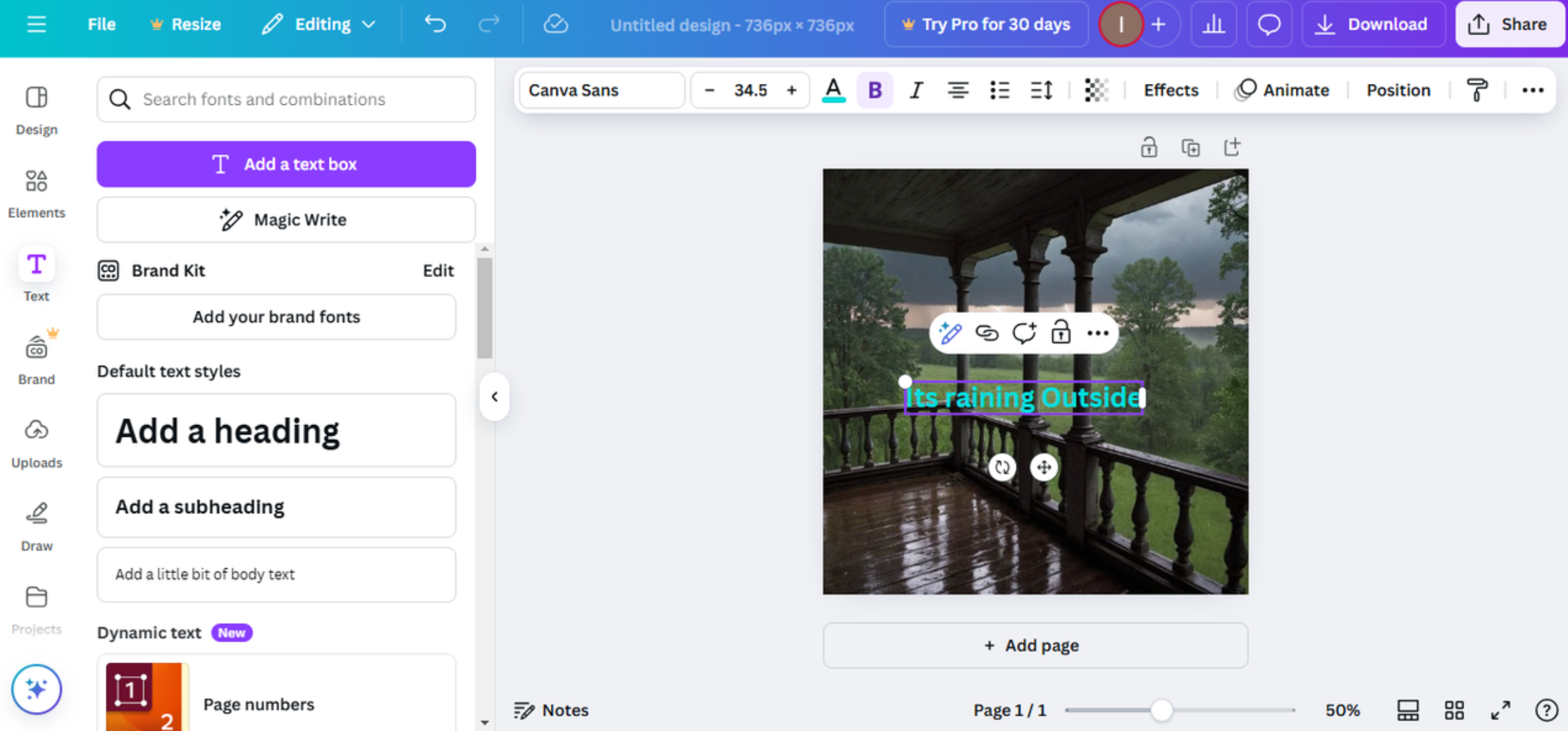 Interfaccia di Canva - il miglior strumento per scrivere testo in immagini