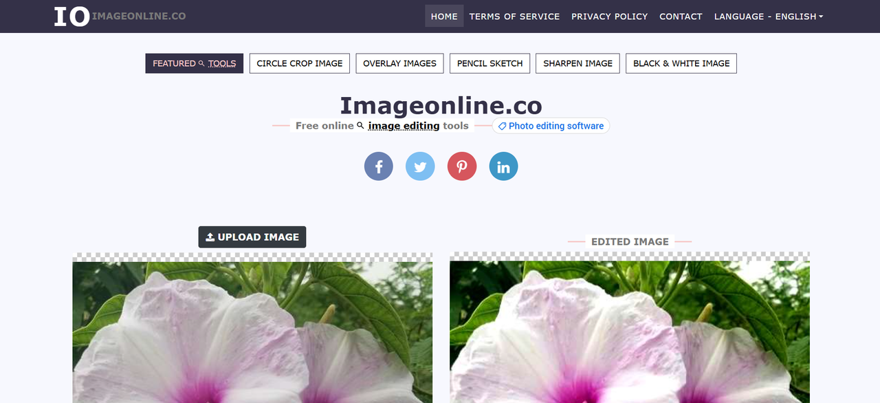 Image Online.co homepage